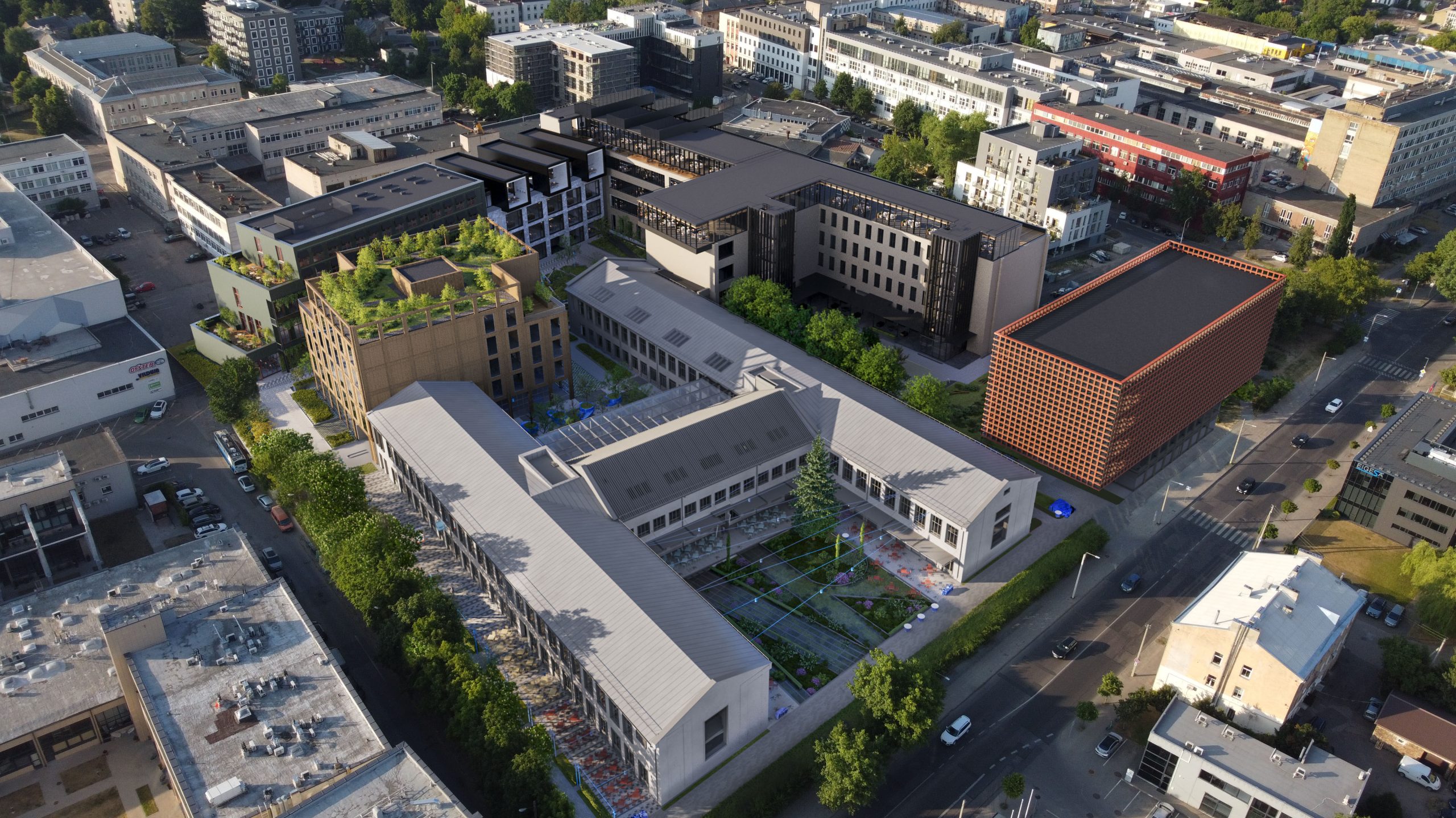 Tech Zity Lilium II Reconstruction Management